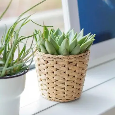 아파트 Free Garage Parking!!! Stylish Getaway In Prime Location - By The Danube And Old Town *