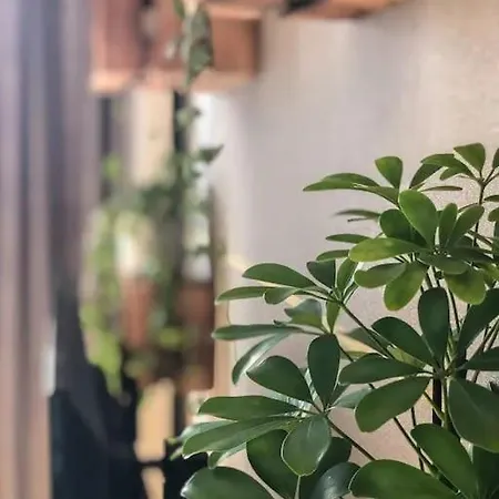 Lägenhet Free Garage Parking!!! Stylish Getaway In Prime Location - By The Danube And Old Town Bratislava