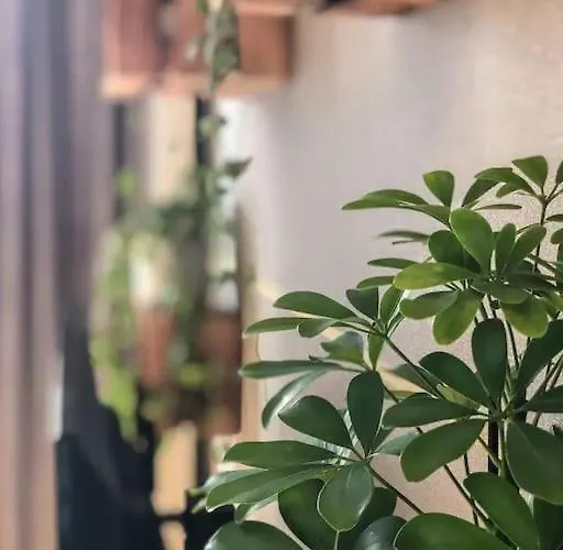 アパート Free Garage Parking!!! Stylish Getaway In Prime Location - By The Danube And Old Town ブラチスラヴァ